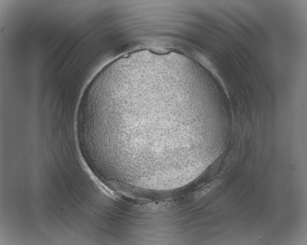 X0000063450803200602101647