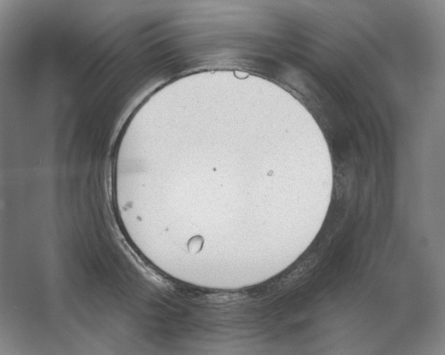 X0000063450804200602101647