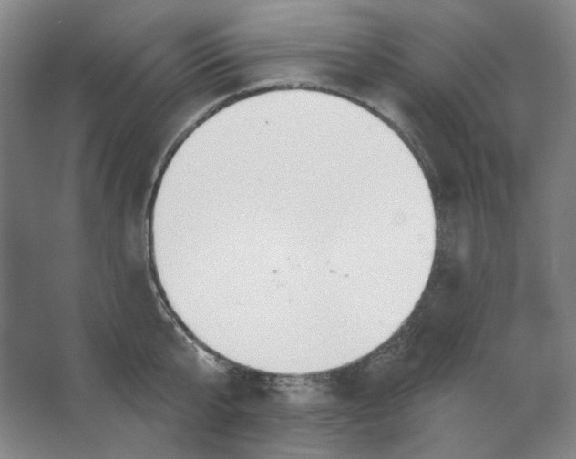 X0000063450807200602101647