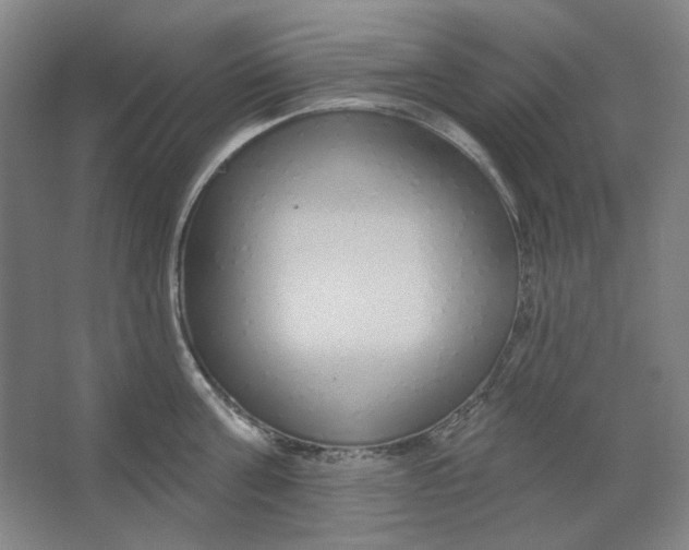 X0000063450811200602101647