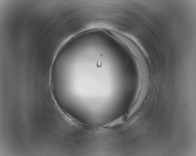 X0000063450815200602101647