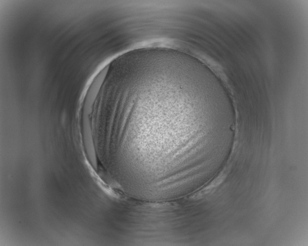 X0000063450816200602101647