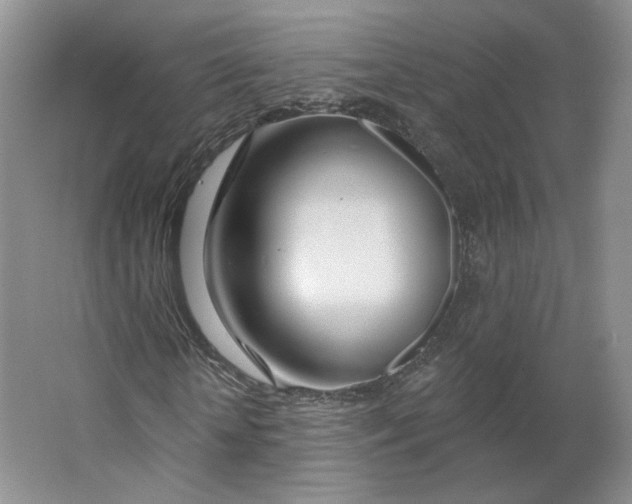 X0000063450818200602101646