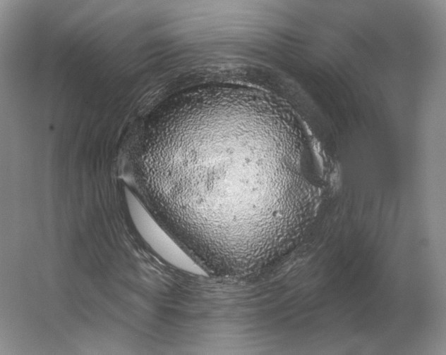 X0000063450819200602101646