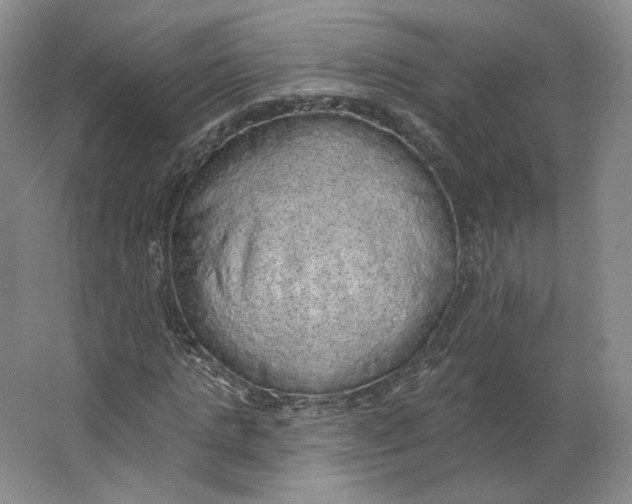 X0000063450821200602101646