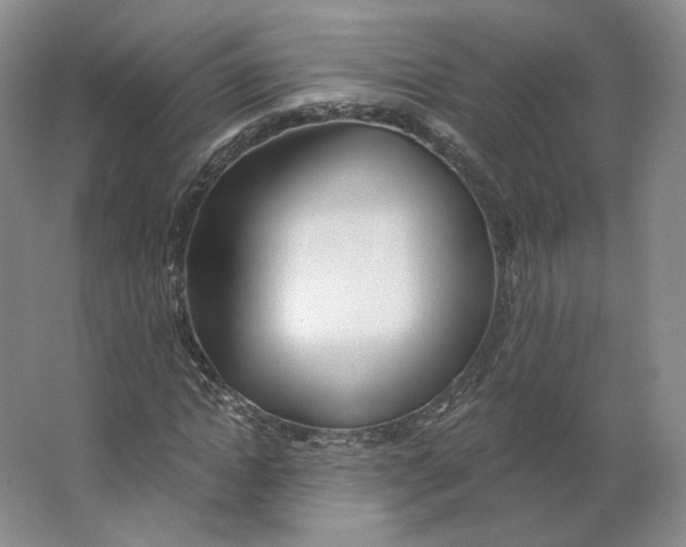 X0000063450822200602101646