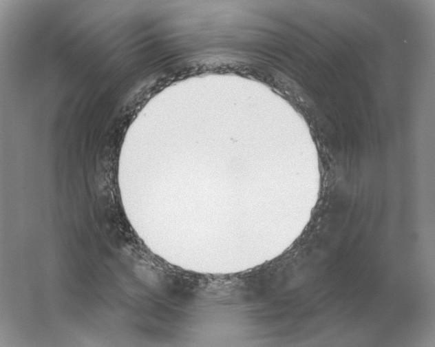 X0000063450824200602101646