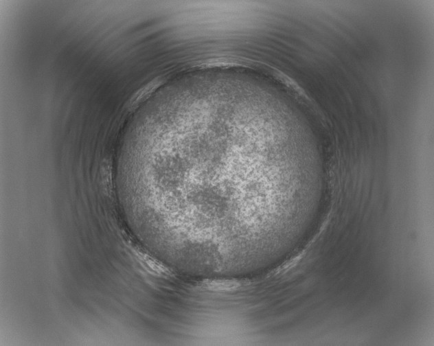 X0000063450825200602101646