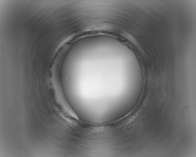 X0000063450826200602101646