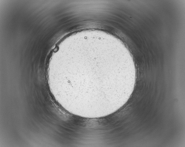 X0000063450828200602101646