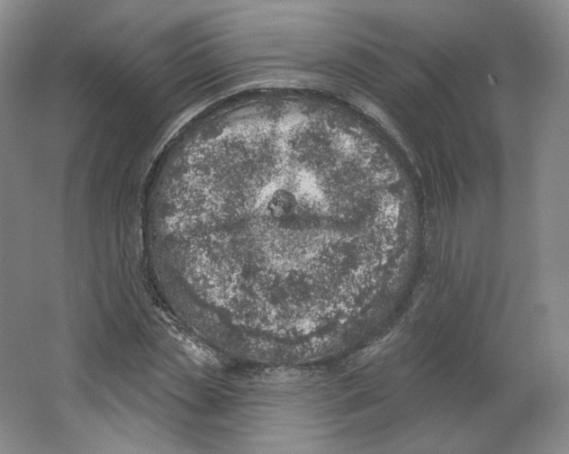 X0000063450829200602101646