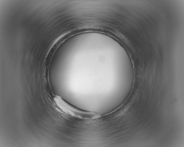 X0000063450830200602101646