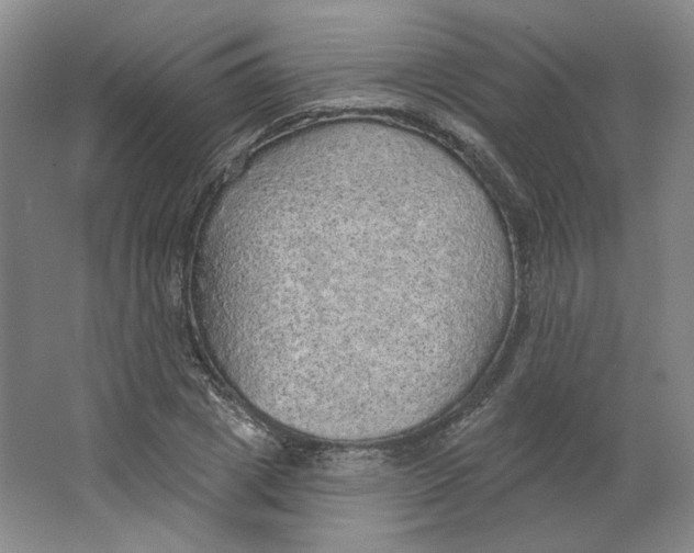 X0000063450833200602101646