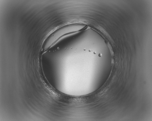 X0000063450834200602101646