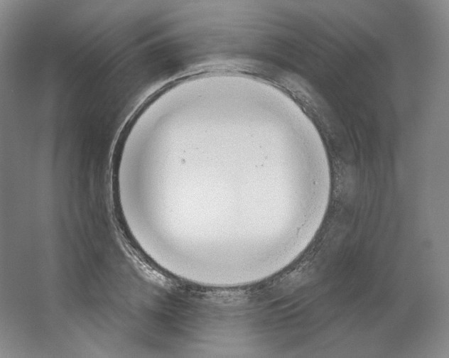 X0000063450836200602101646