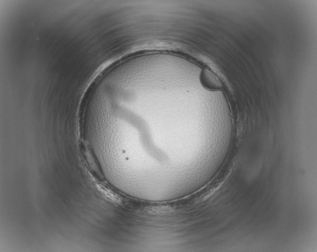 X0000063450837200602101646