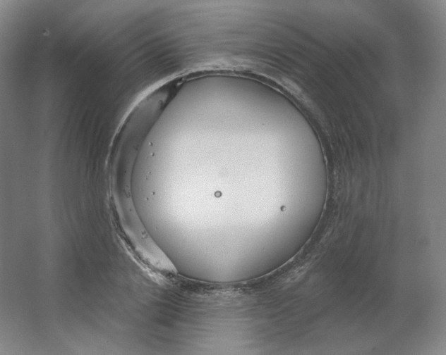 X0000063450838200602101646