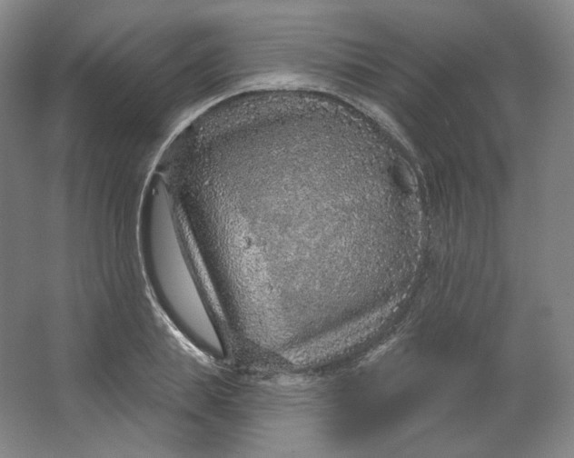 X0000063450839200602101646