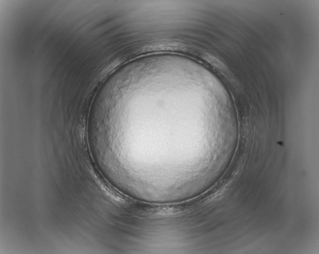 X0000063450841200602101646