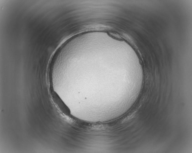 X0000063450843200602101646