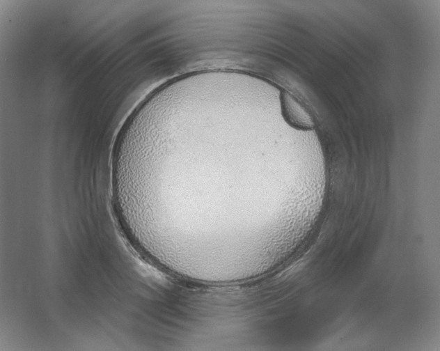 X0000063450844200602101646