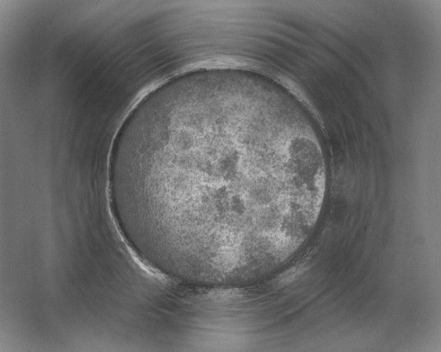 X0000063450845200602101646