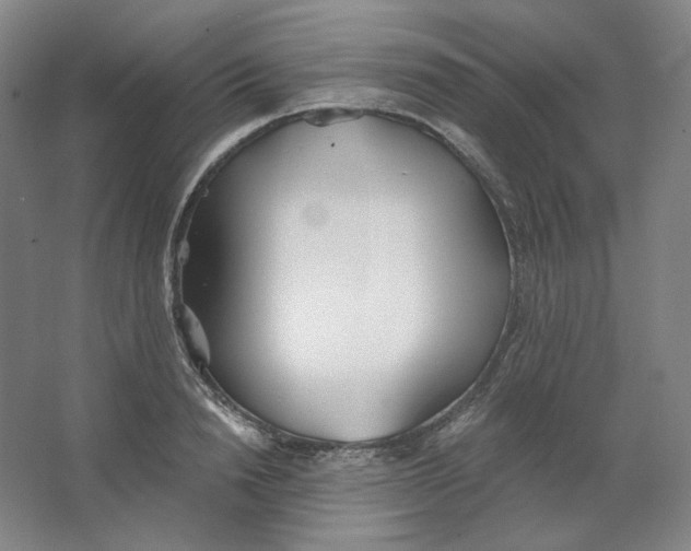 X0000063450846200602101646