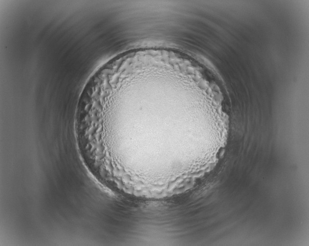 X0000063450847200602101646