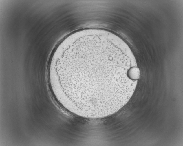 X0000063450848200602101646