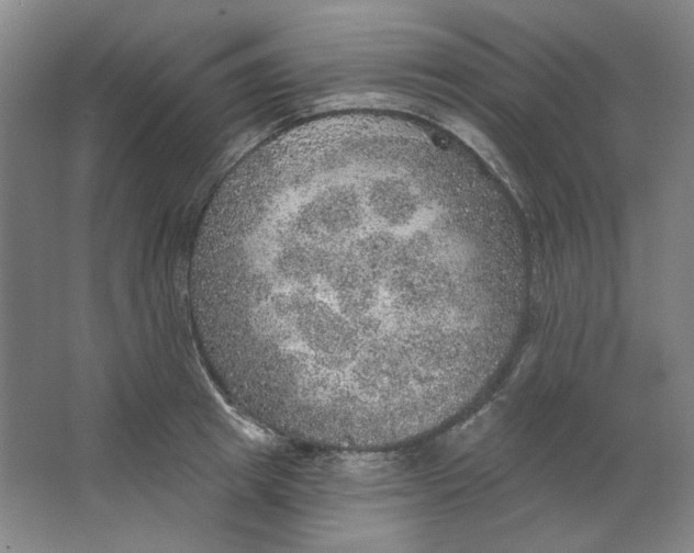 X0000063450849200602101646