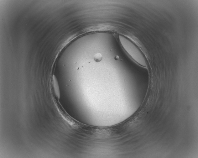 X0000063450850200602101646