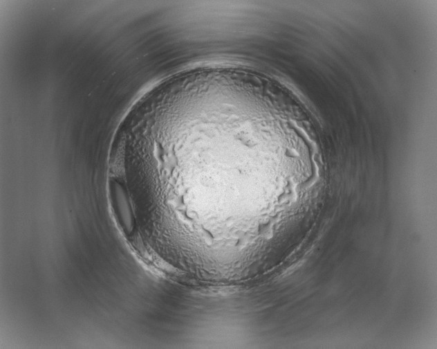 X0000063450853200602101646