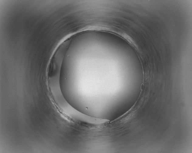 X0000063450854200602101646