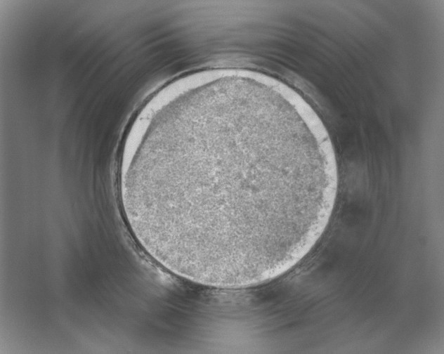 X0000063450856200602101646