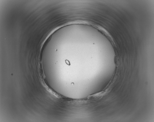 X0000063450860200602101646