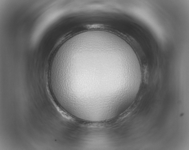 X0000063450861200602101646