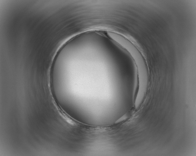 X0000063450862200602101646