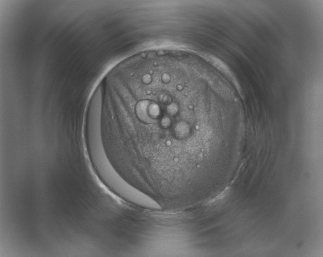 X0000063450863200602101646