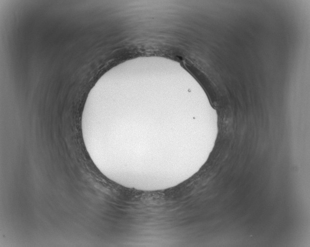 X0000063450865200602101646