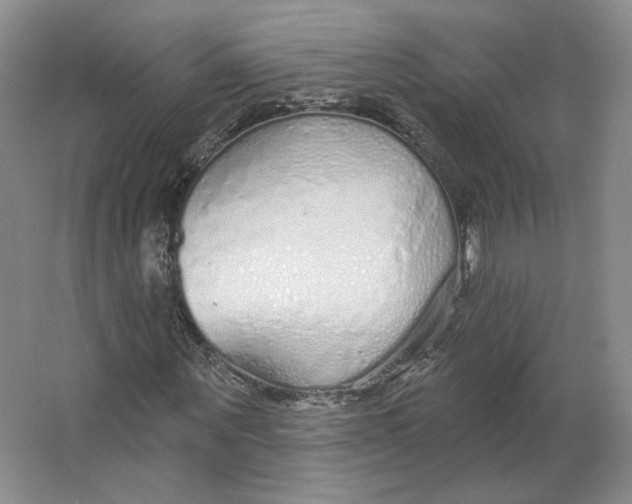 X0000063450867200602101646