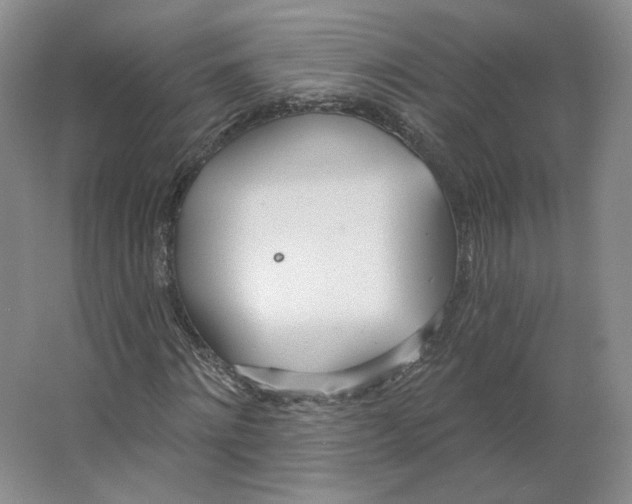 X0000063450868200602101646