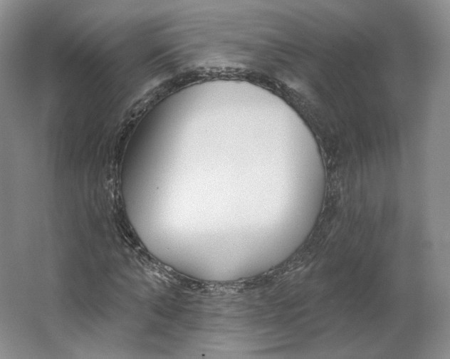 X0000063450870200602101646