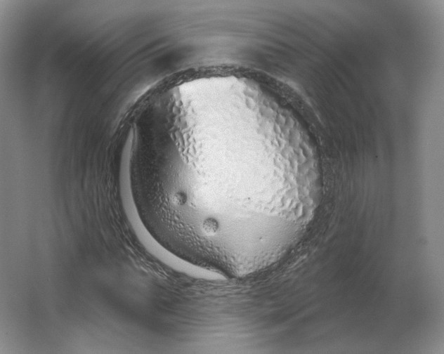 X0000063450871200602101646