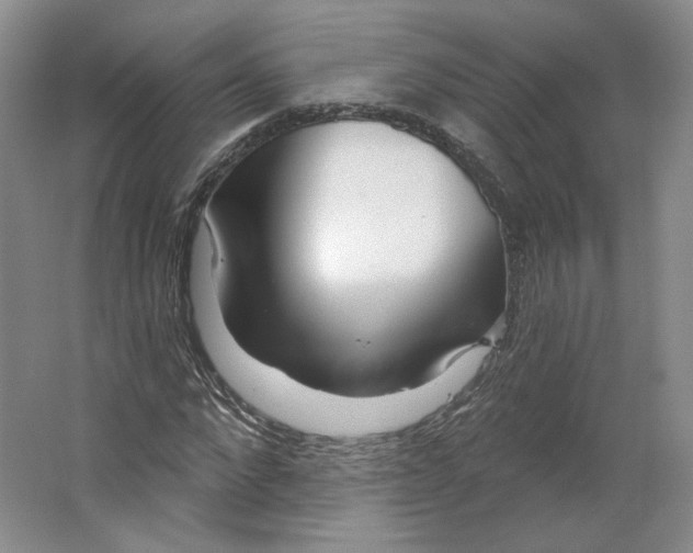 X0000063450872200602101646