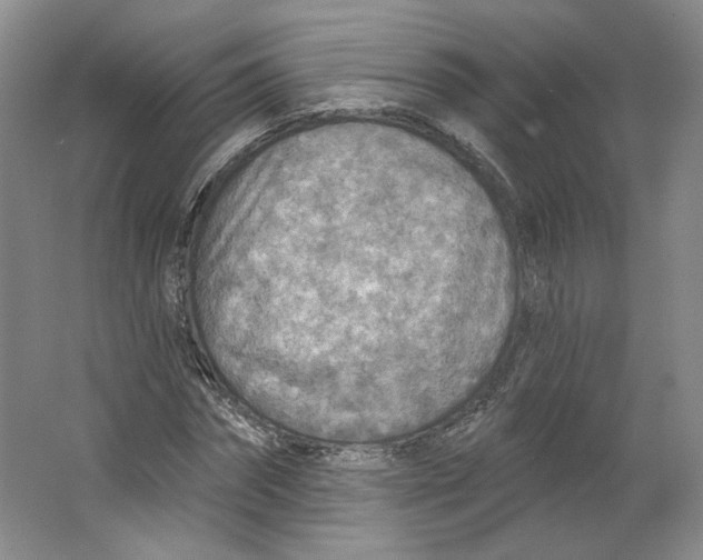 X0000063450874200602101646