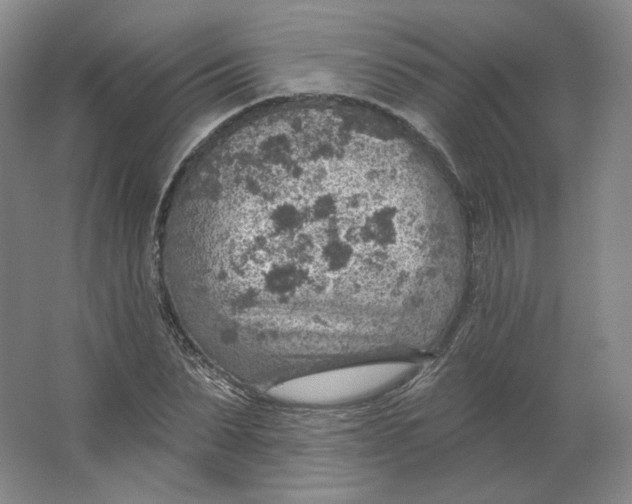 X0000063450879200602101645