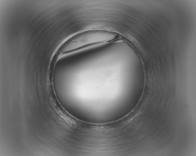 X0000063450880200602101645