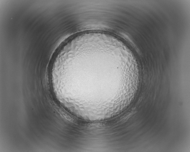 X0000063450883200602101645