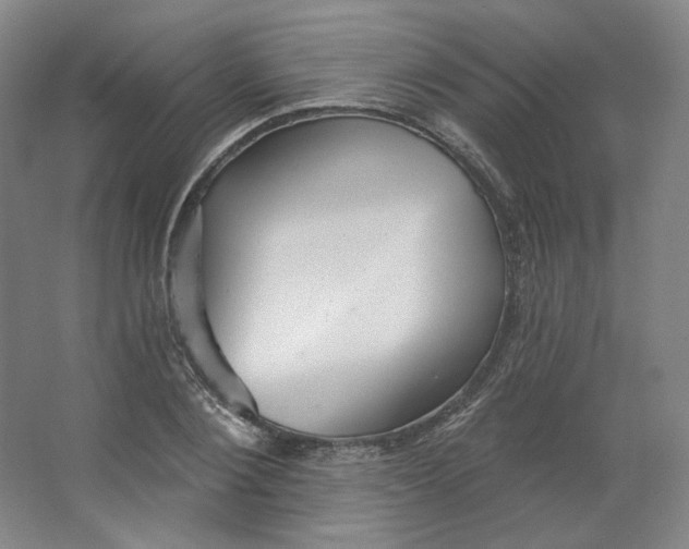 X0000063450884200602101645