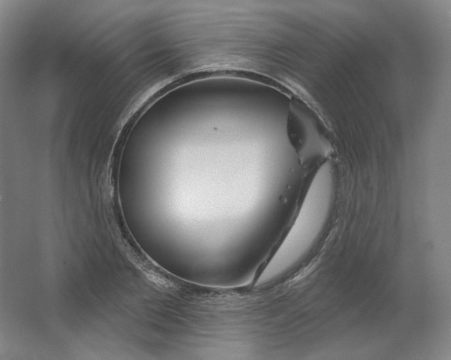 X0000063450885200602101645